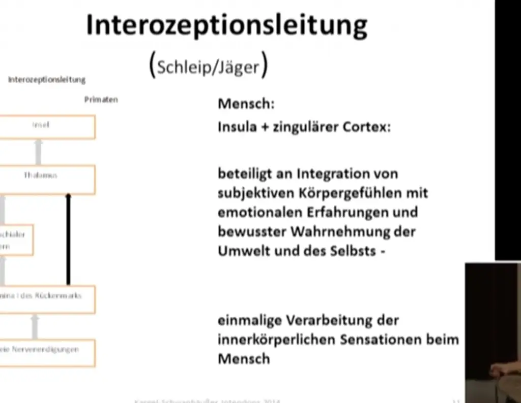 Interozeption